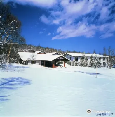 Yatsugatake Kogen Lodge Hotel a Koumi