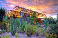 Crowne Plaza Phoenix Airport - Phx Hotels near Phoenix Convention Center